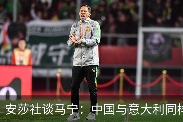 安莎社谈马宁：中国与意大利同样无缘世界杯，这位裁判被球迷追捧